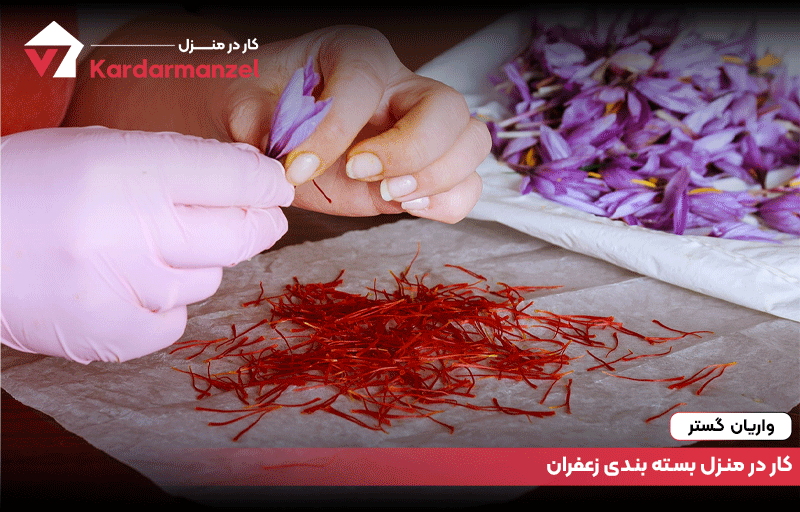 کار در منزل بسته بندی زعفران