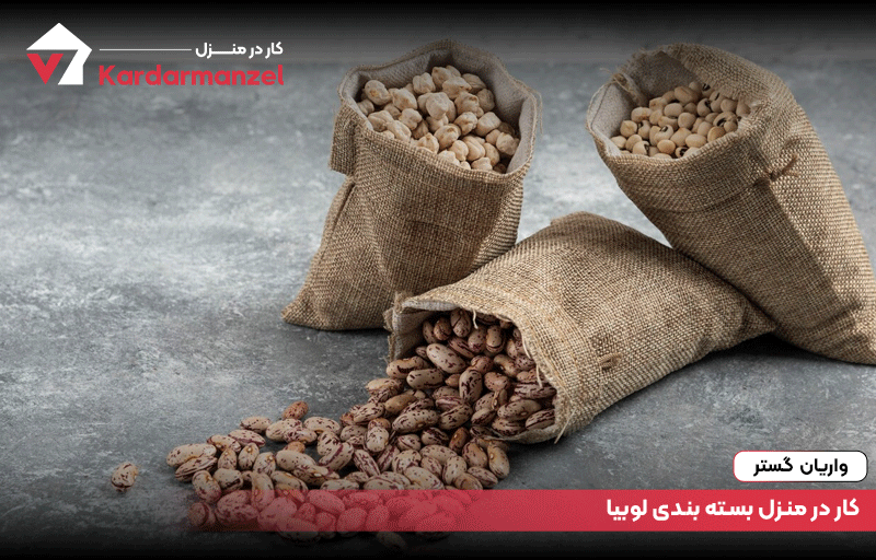 کار در منزل بسته بندی لوبیا